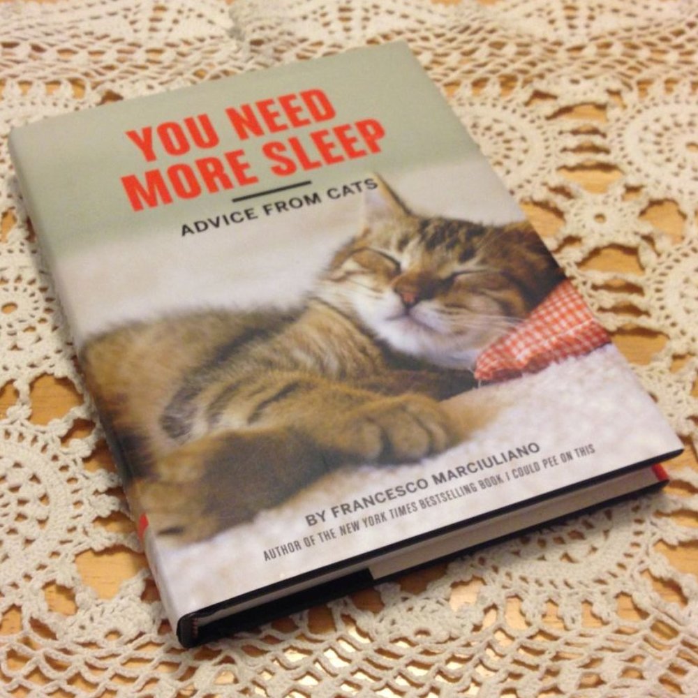 Cat Humor Book, cat advice - You need more sleep